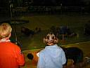 IMG_3555.JPG